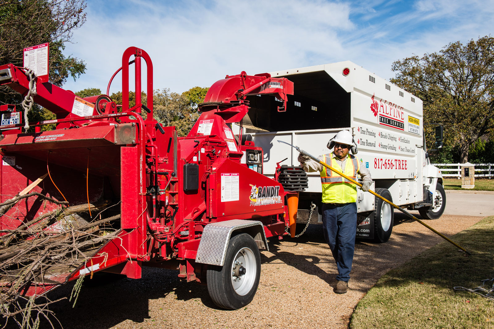 Alpine Tree Service