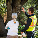 Alpine Tree Service  Tree Care Specialists