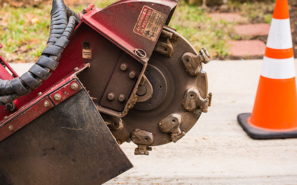 Tree Care Specialists