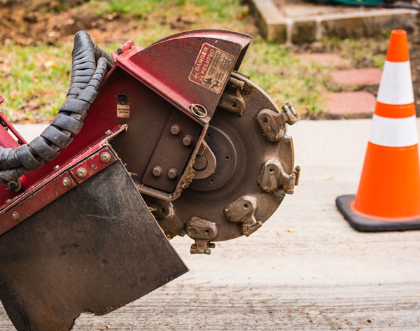 Tree Care Specialists