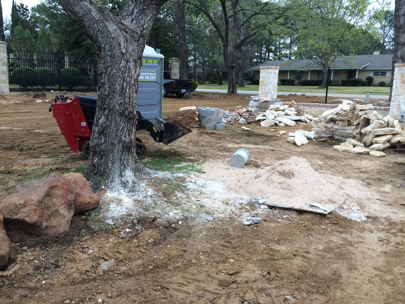 Alpine Tree Service Tree Care Specialists