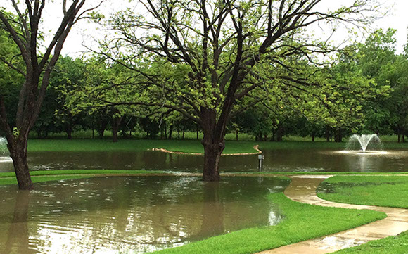 Alpine Tree Service Tree Care Specialists